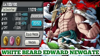 WHITE BEARD EDWARD NEWGATE GAMEPLAY  ONE PIECE BOUNTY RUSH  OPBR [upl. by Lisle887]