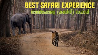 Kabini Safari  Nagarhole Tiger Reserve Karnataka [upl. by Rinee]