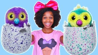 NEW HATCHIMALS TOY with Shiloh and Shasha  Onyx Kids [upl. by Tattan277]