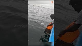 Hand Line Fishing in the Sea fishing fishingvideo fishingtime [upl. by Oluap]