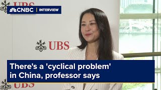 Theres a cyclical problem in China professor says [upl. by Kono]