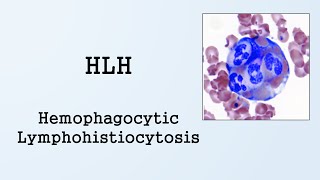 Hemophagocytic Lymphohistiocytosis HLH [upl. by Harahs591]