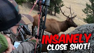 ELK SHOT AT 3 YARDS Unbelievable Bowhunting Action [upl. by Rondi292]