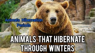 Top 10 Animals that Hibernate through Winters  Animal Hibernation Period during Winters [upl. by Krum]