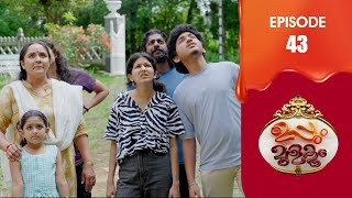 Uppum Mulakum 3  Flowers  EP  43 [upl. by Krenek]