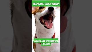 Decoding Dog Barks What’s Your Dog Really Saying facts doglover dogs [upl. by Sidney490]