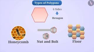 Types of Polygons  Part 13  English  Class 6 [upl. by Ahsiloc]