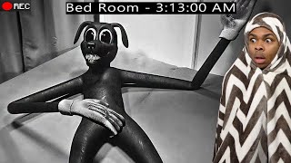 CARTOON DOG Was SPOTTED In My ROOM HELP [upl. by Sucramraj]