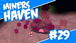 Miners Haven 29  SIMPLE REBORNS Roblox Miners Haven [upl. by Pastelki705]