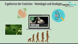 Ergebnisse der Evolution  Homologie und Analogie [upl. by Ahsyak563]