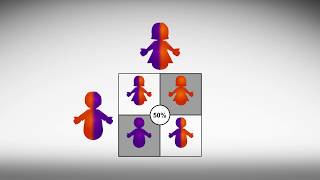 Genetics And Fertility Chapter 2  Inheritance and Mutations [upl. by Dermot]