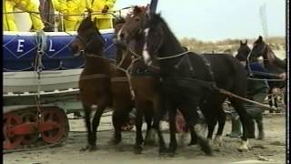 Paarden Reddingboot Ameland [upl. by Nebe]