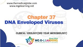 DNA Enveloped Viruses Chapter 37 Clinical Virology Microbiology [upl. by Oiracam267]