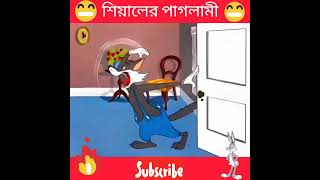 😁শিয়ালের পাগলামী cartoon shortvideo comedy funny shortsvideo shorts shortsfeed short trend [upl. by Nohsal]