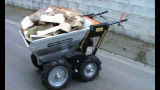 Mini Dumper 250 kg  Moteur Briggs amp Stratton DOV 700 [upl. by Lounge]