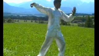 Tai Chi Chuan  Taiji Traditioneller Yang Stil  108er Langform 2 Teil [upl. by Yanahs]