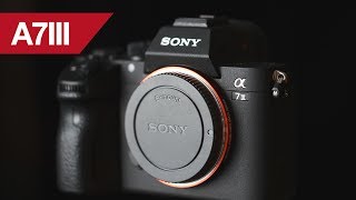 Sony A7III Exposure Recovery [upl. by Josefa]