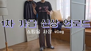 쇼핑몰 사장 vlog  주문 0건이지만 울지않아  1차 가을 신상 업로드ing  동대문 사입  신상마켓  포장 돌돌이 [upl. by Rabma]