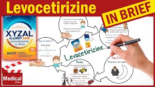 Levocetirizine 5 mg  Xyzal  What is Levocetirizine Used For Dosage Side Effects amp Precautions [upl. by Ertsevlis]