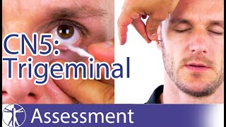 Cranial Nerve 5 Examination  Trigeminal Nerve Assessment for Physiotherapists [upl. by Cad]