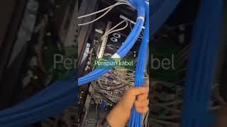 Kabel lan serverperapian server installation kabel connection trik shortsvideo shorts [upl. by Hephzibah]