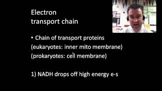 Cellular respiration part 2 [upl. by Stevie]