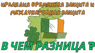 Халява в Ирландия это Временная защита или Международная защита в чем разница  новости беженцы [upl. by Lebna402]