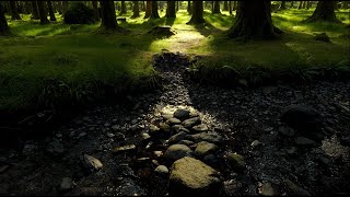 Forest sounds  Relaxing sounds of nature  Episode 4 Gougane Barra with streamingbirds [upl. by Laurance928]