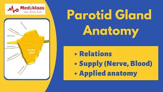 Parotid gland Anatomy I Relations blood supply applied anatomy I Mediklaas [upl. by Enimajneb900]