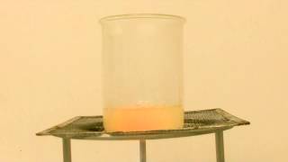 Experiment N°43 Synthesis of salicylic acid English [upl. by Zollie]