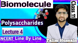 Biomolecule Polysaccharides Lect4  Class 11  NEET 2025  ❤️Talim Hussain [upl. by Daraj409]