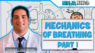 Respiratory  Mechanics of Breathing Pressure Changes  Part 1 [upl. by Seka928]