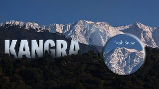 Fresh Snowfall In Kangra 2024  Himachal Pradesh [upl. by Llennaj]