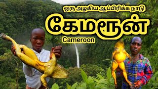 கேமரூன் நாட்டை பற்றி தெரியுமா  Interesting Facts About Cameroon In Tamil  African Country [upl. by Ecnedurp]