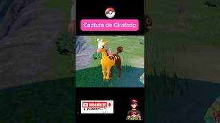 Captura de girafarig 🦒pokemon pokemonescarlatapurpura humor [upl. by Kori532]