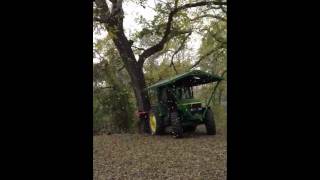 Shaking Texas pecans tree [upl. by Lewin825]