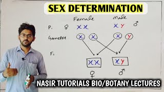 Sex Determination 13  Different Mechanisms of Sex Determination  Genetics  BS [upl. by Aitsirk]