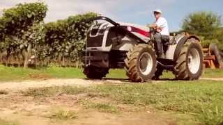 Carraro Agricube Frutteto Basso  Low Orchard [upl. by Wachtel]