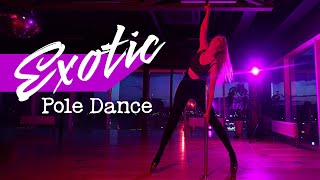 Exotic Pole Dance  beginners level [upl. by Adelind]