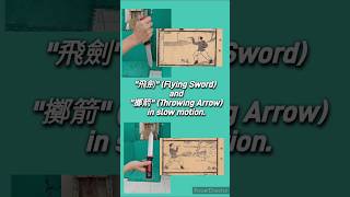 Slow motion quot飛劍quot Flying Sword ＆quot擲箭quot Throwing Arrow nospin knifethrowing milwaukee 直打法 飛劍 [upl. by Ahsilyt]