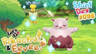 2 SHINY POKEMON SHINY DROWZEE and PIDGEOTTO Pokemon Lets GO Pikachu and Eevee [upl. by Dreher172]