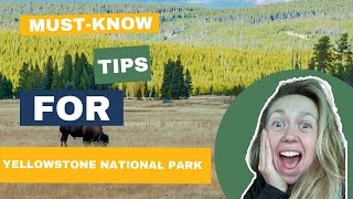 TIPS for Visiting YELLOWSTONE NATIONAL PARK You MUST Know [upl. by Llenyar408]