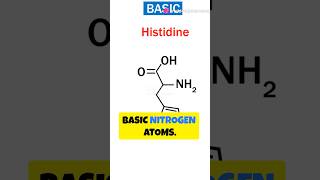 True alkaloids Proto alkaloids Pseudo alkaloids shorts alkaloids pharmacognocy pharmacy study [upl. by Byrann905]