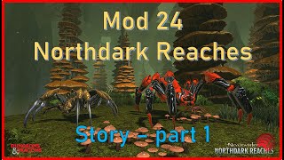 Neverwinter Mod24 Northdark Reaches Story Part 1 story walkthrough [upl. by Sera]