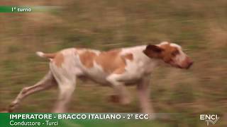 MONDIALE BRACCO ITALIANO seconda parte [upl. by Kristofor273]