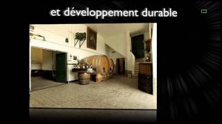 Domaine des Bossons  PeissySatigny  vins dégustation vente [upl. by Womack]