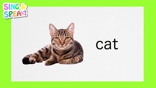 How to Pronounce Cat [upl. by Leod164]