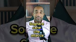 Sognare cane che attacca [upl. by Dyl107]