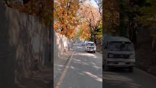 Autumn 🍂 views of Abbottabad Pakistan 🇵🇰 travel mountains nature love viralvideoshortsviral [upl. by Aymer]