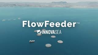 FlowFeeder™ Waterborne Feeding System [upl. by Renault305]